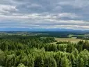 dazu-widok-na-tatry-mpzpbudowlananaslonecznionalas-4643da-zdjecie-12