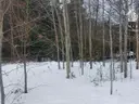 dazu-dzialka-na-sprzedaz-biala-nizna-13b7e7