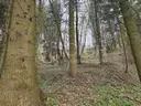 dazu-twoja-wlasna-czesc-natury-majatek-ktorego-nie-da-sie-dodrukowac-d0d0ad-zdjecie-10