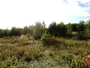dazu-dzialka-z-wz-w-wyjatkowo-atrakcyjnej-lokalizacji-7a33c0-zdjecie-3