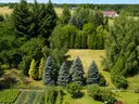 dazu-urocza-dzialka-w-kinicach-mpzp-dcbd4c-zdjecie-2
