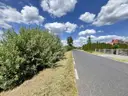 dazu-mpzp-asfalt-15-km-do-lubina-i-polkowic-media-f3f202-zdjecie-2