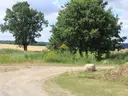 dazu-dzialka-35-arow-wydane-wz-raclaw-bd0bf6-zdjecie-9