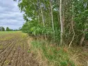 dazu-dzialka-rekreacyjna-w-nowych-zuchowicach-69e9e8-zdjecie-8