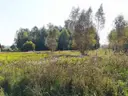 dazu-ciasne-dzialka-budowlana-5100-m2-d9ddc2-zdjecie-4