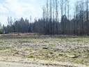 dazu-dzialka-budowlana-pod-lasem-1085-m2-26c1fd-zdjecie-2