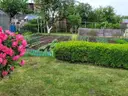 dazu-dzialka-rod-390m2-z-murowanym-domem-i-szklarniami-30fbca-zdjecie-4