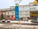 dazu-lokal-110-2-centrum-jarot-11332e-zdjecie-3