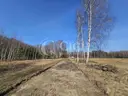 dazu-dzialka-siedliskowa-pomiedzy-lasami-c9cf3f-zdjecie-13