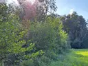 dazu-atrakcyjna-dzialka-budowlana-f4676d-zdjecie-8