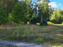 dazu-atrakcyjna-dzialka-budowlana-f4676d