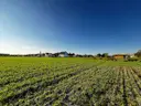 dazu-wz-woda-prad-gaz-kanalizacja-w-poblizu-7ad223-zdjecie-14