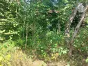 dazu-losie-dzialka-budowlana-993-a-1135s-45840d-zdjecie-2