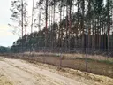 dazu-dzialka-8500-m2-jurowce-cc8fcc-zdjecie-2