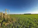 dazu-wz-woda-prad-gaz-kanalizacja-w-poblizu-7ad223-zdjecie-10