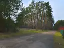 dazu-piekna-dzialka-blisko-lasu-miloszyce-d06002-zdjecie-5