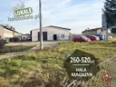 dazu-budynek-do-wynajecia-260-520-m2-0115e4