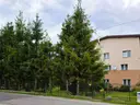 dazu-dom-wolnostojacy-czterokondygnacyjny-z-potencjalem-inwestycyjno-rozwojowym-643e05-zdjecie-10