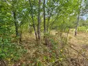 dazu-dzialka-rekreacyjna-w-nowych-zuchowicach-69e9e8-zdjecie-14