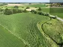 dazu-dzialka-rolna-80-arow-w-miechowicach-2c916b-zdjecie-11