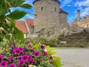 dazu-znojmo-heritage-apartmany-a-goticky-wine-bar-ea3ebb-zdjecie-11