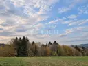 dazu-wyjatkowa-oferta-prywatny-las-81-arow-w-ostruszy-w-malopolsce-76e08b