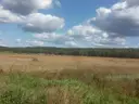 dazu-sprzedam-dzialke-rolna-208-ha-kalek-woj-lubuskie-95-000-zl-de62f2-zdjecie-2