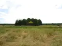 dazu-na-sprzedaz-duza-dzialka-w-rybakowie-b83cb6-zdjecie-6