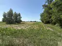 dazu-malownicze-siedlisko-blisko-szamotul-55078f-zdjecie-12