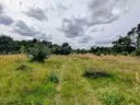 dazu-wymarzony-dom-w-naturze-dzialka-w-okazyjnej-ceni-1815c2-zdjecie-11