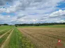 dazu-dzialka-w-otulinie-puszczy-knyszynskiej-z-wz-96bd27