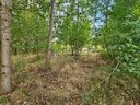 dazu-dzialka-rekreacyjna-w-nowych-zuchowicach-69e9e8-zdjecie-10