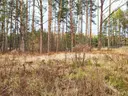 dazu-dzialka-8500-m2-jurowce-cc8fcc-zdjecie-6