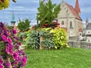 dazu-znojmo-heritage-apartmany-a-goticky-wine-bar-ea3ebb-zdjecie-13