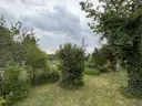 dazu-czestochowa-ul-bor-dzialka-rod-1e12f4-zdjecie-3