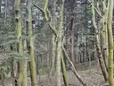 dazu-twoja-wlasna-czesc-natury-majatek-ktorego-nie-da-sie-dodrukowac-d0d0ad-zdjecie-11