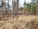dazu-dzialka-8500-m2-jurowce-cc8fcc-zdjecie-7