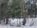 dazu-dzialka-na-sprzedaz-biala-nizna-13b7e7-zdjecie-4