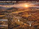 dazu-dzialki-przy-lesie-15-min-do-kielc-d48abe-zdjecie-2