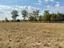 dazu-dzialka-budowlana-1000-m2-rafalowka-440d6d-zdjecie-8
