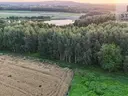 dazu-dzialka-5504-ara-bezposrednio-przy-zalewie-skrzyszowskim-pod-siedlisko-lub-biznes-turystyczny-092ac8-zdjecie-2