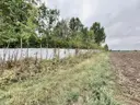 dazu-dzialki-budowlane-1000-m2-wz-projekt-domu-e11b90-zdjecie-17
