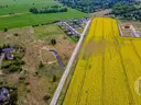 dazu-kawalek-ziemi-na-ktory-mozesz-sie-postawic-4024a0-zdjecie-4