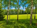 dazu-dzialka-budowlana-1488-m2-dobrzyniewo-ad9b3e-zdjecie-5