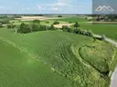 dazu-dzialka-rolna-80-arow-w-miechowicach-2c916b-zdjecie-6