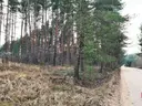 dazu-dzialka-8500-m2-jurowce-cc8fcc-zdjecie-3