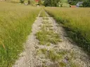 dazu-dzialka-w-gorach-sowich-73c564-zdjecie-6