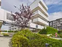 dazu-3-pokoje-na-wynajem-zagnanska-patio-vita-49edf7