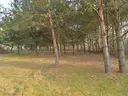 dazu-piekna-dzialka-blisko-lasu-miloszyce-d06002-zdjecie-4