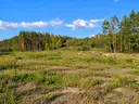 dazu-plac-4500-m2-przy-dk-8-8a77c7-zdjecie-8